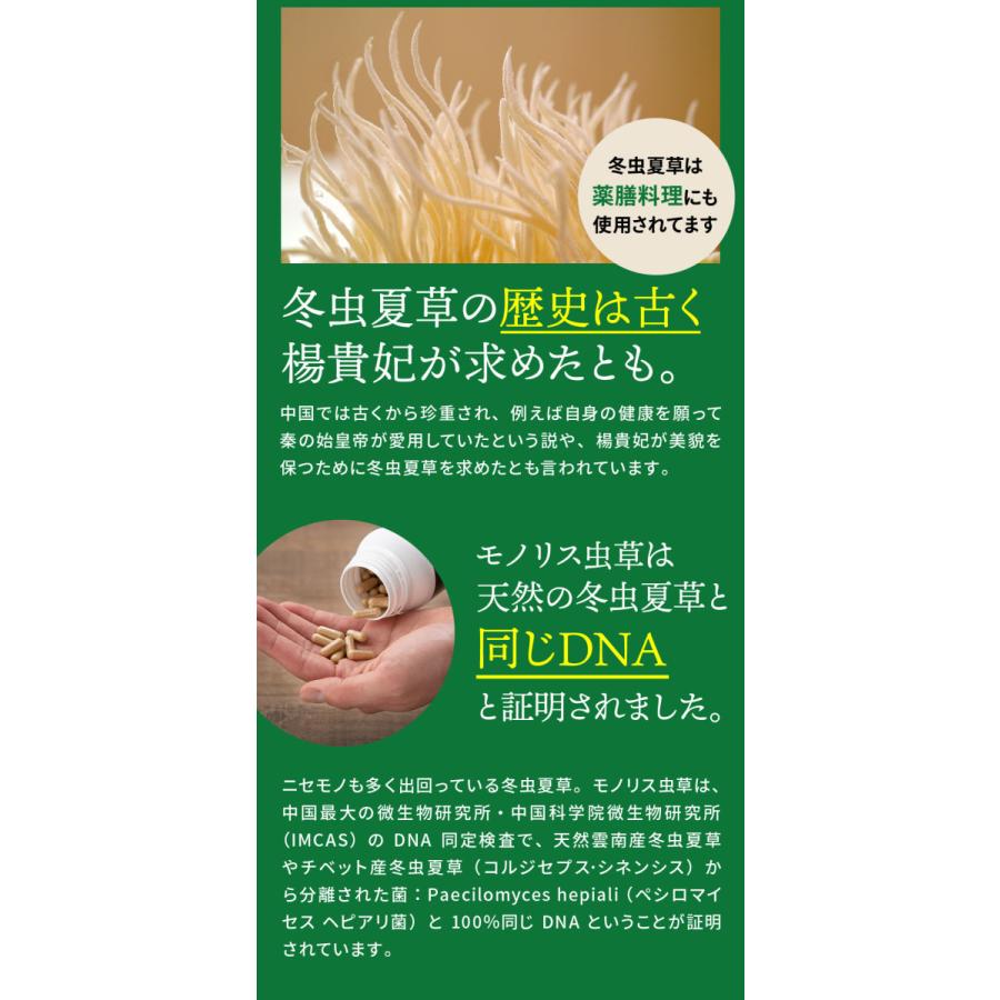 冬虫夏草 サプリ サプリメント 健康食品 日本産 シニア 免活 サポート 活力 の維持 妊活 持続力 キノコ モノリス虫草カプセル 送料無料 |  | 07