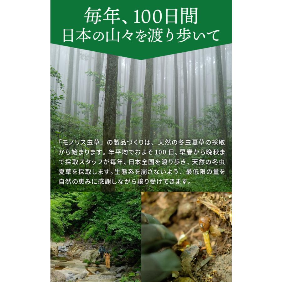 冬虫夏草 サプリ サプリメント 健康食品 日本産 シニア 免活 サポート 活力 の維持 妊活 持続力 キノコ モノリス虫草カプセル 送料無料 |  | 09