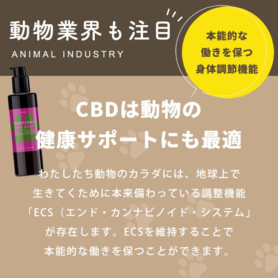 サプリメント ペット 犬 猫 CBDオイル カンニマル リリーフ ターメリック ウコン ジンジャー 50ml オーガニック CBD OIL 250mg シニア 老描 老犬 中型犬 大型犬｜monolith-net｜09