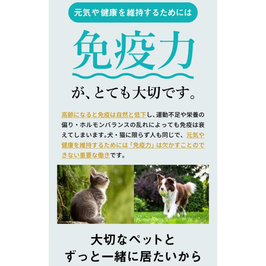 犬 猫 ペット サプリ 犬用サプリメント 猫用 シニア 免疫力 保つ アップ 国産 冬虫夏草 うさぎ  健康食品＜コルディM／コルディG 100g＞ メール便送料無料｜monolith-net｜06