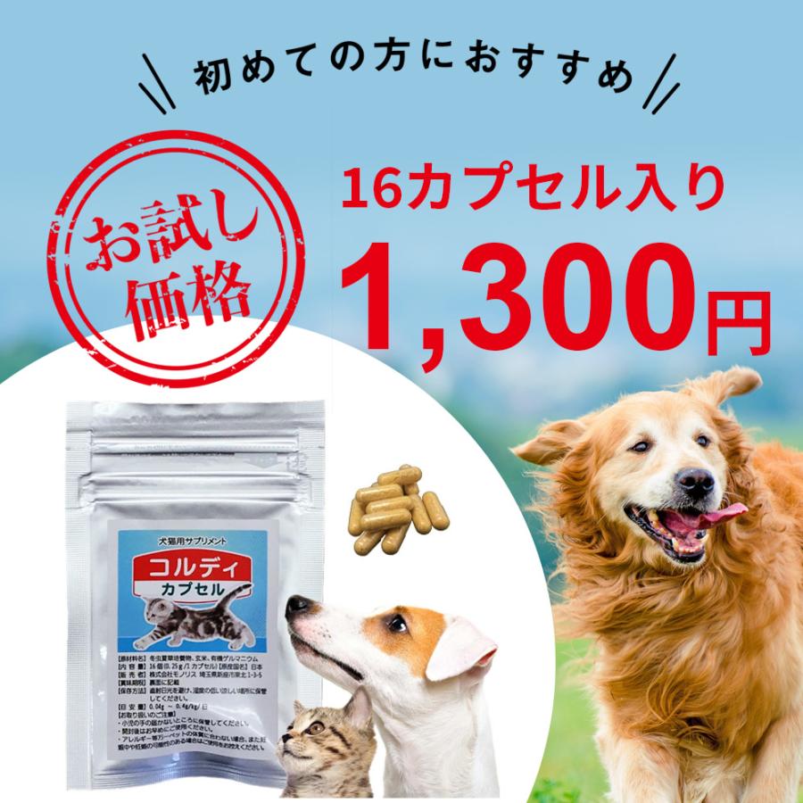 犬 猫 ペット 用 健康を維持し 免疫力 を守る 免活 サプリ サプリメント 冬虫夏草 うさぎ 有機ゲルマニウム 菌活 別途送料で あすつく可 コルディカプセル Cordycp 日本産冬虫夏草 モノリスヤフー店 通販 Yahoo ショッピング