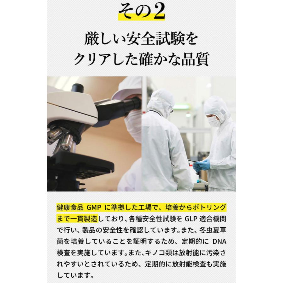 猫 サプリ ネコ サプリメント 猫用 ペット 免疫力 保つ アップ 健康維持 胃腸 老描 シニア 冬虫夏草 菌活 お試し ＜コルディカプセル＞ メール便送料無料｜monolith-net｜10