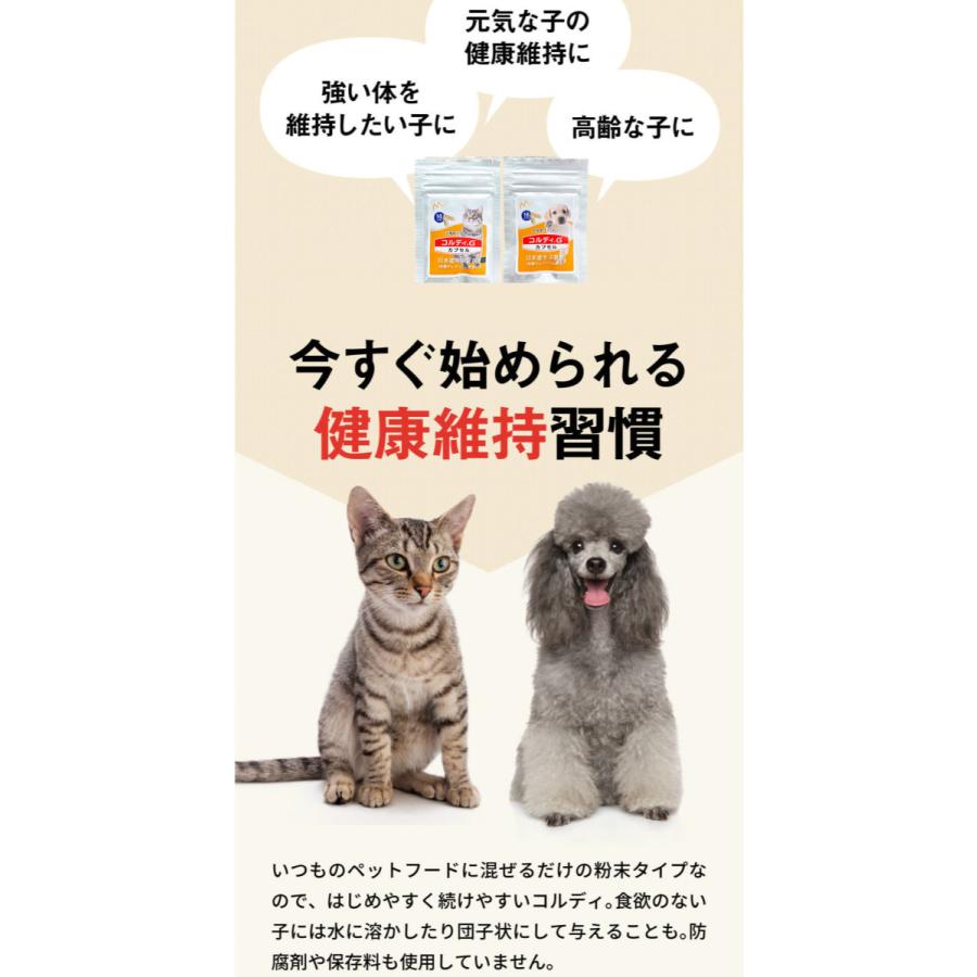 猫 サプリ ネコ サプリメント 猫用 ペット 免疫力 保つ アップ 健康維持 胃腸 老描 シニア 冬虫夏草 菌活 お試し ＜コルディカプセル＞ メール便送料無料｜monolith-net｜12