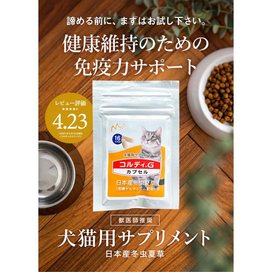 猫 サプリ ネコ サプリメント 猫用 ペット 免疫力 保つ アップ 健康維持 胃腸 老描 シニア 冬虫夏草 菌活 お試し ＜コルディカプセル＞ メール便送料無料｜monolith-net｜17