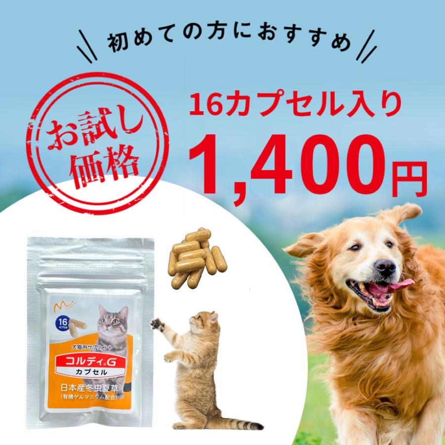 猫 サプリ ネコ サプリメント 猫用 ペット 免疫力 保つ アップ 健康維持 胃腸 老描 シニア 冬虫夏草 菌活 お試し ＜コルディカプセル＞ メール便送料無料｜monolith-net｜02