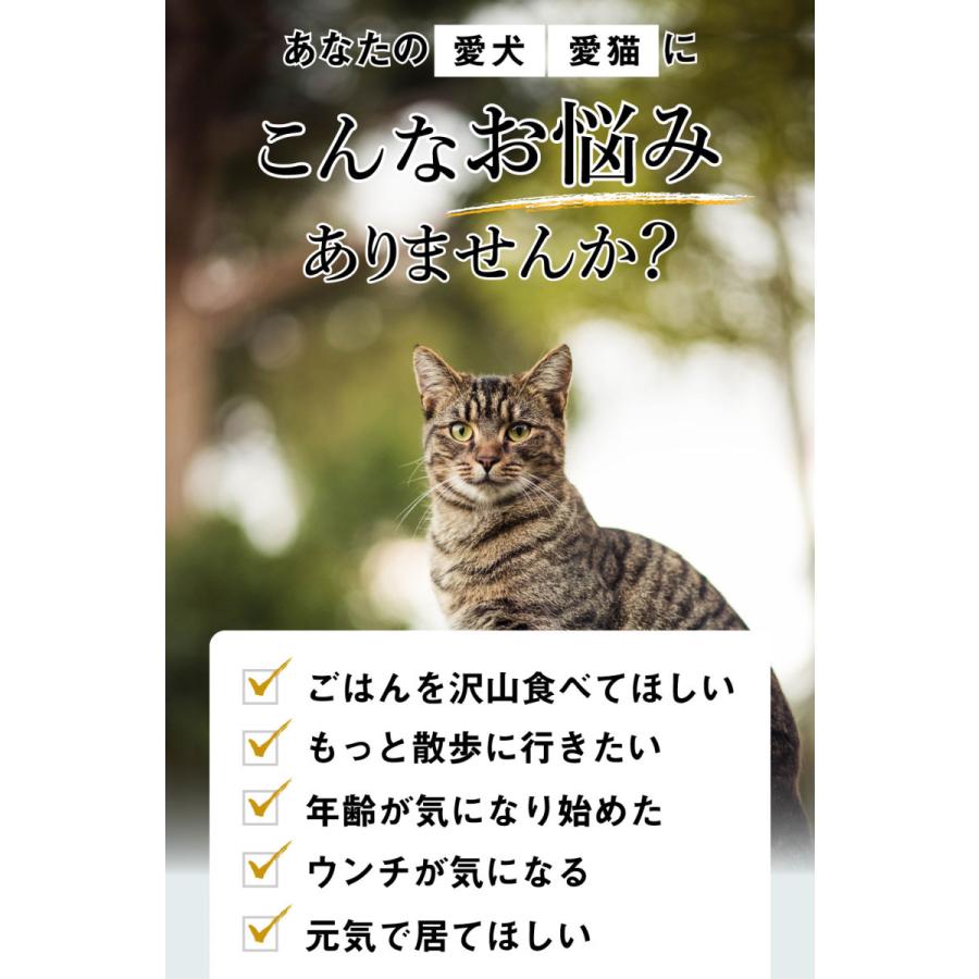 猫 サプリ ネコ サプリメント 猫用 ペット 免疫力 保つ アップ 健康維持 胃腸 老描 シニア 冬虫夏草 菌活 お試し ＜コルディカプセル＞ メール便送料無料｜monolith-net｜03