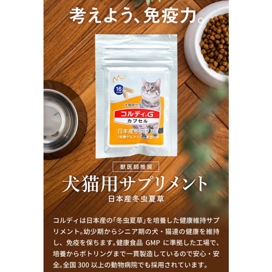 猫 サプリ ネコ サプリメント 猫用 ペット 免疫力 保つ アップ 健康維持 胃腸 老描 シニア 冬虫夏草 菌活 お試し ＜コルディカプセル＞ メール便送料無料｜monolith-net｜05