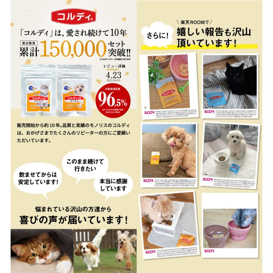 猫 サプリ ネコ サプリメント 猫用 ペット 免疫力 保つ アップ 健康維持 胃腸 老描 シニア 冬虫夏草 菌活 お試し ＜コルディカプセル＞ メール便送料無料｜monolith-net｜07