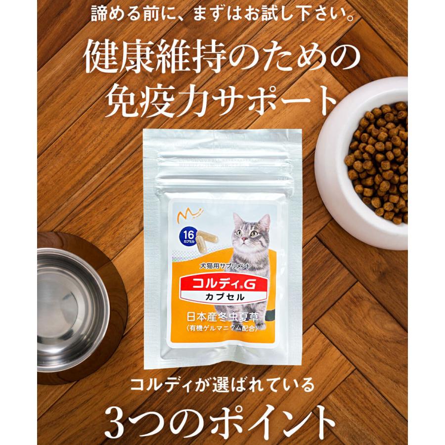 猫 サプリ ネコ サプリメント 猫用 ペット 免疫力 保つ アップ 健康維持 胃腸 老描 シニア 冬虫夏草 菌活 お試し ＜コルディカプセル＞ メール便送料無料｜monolith-net｜08