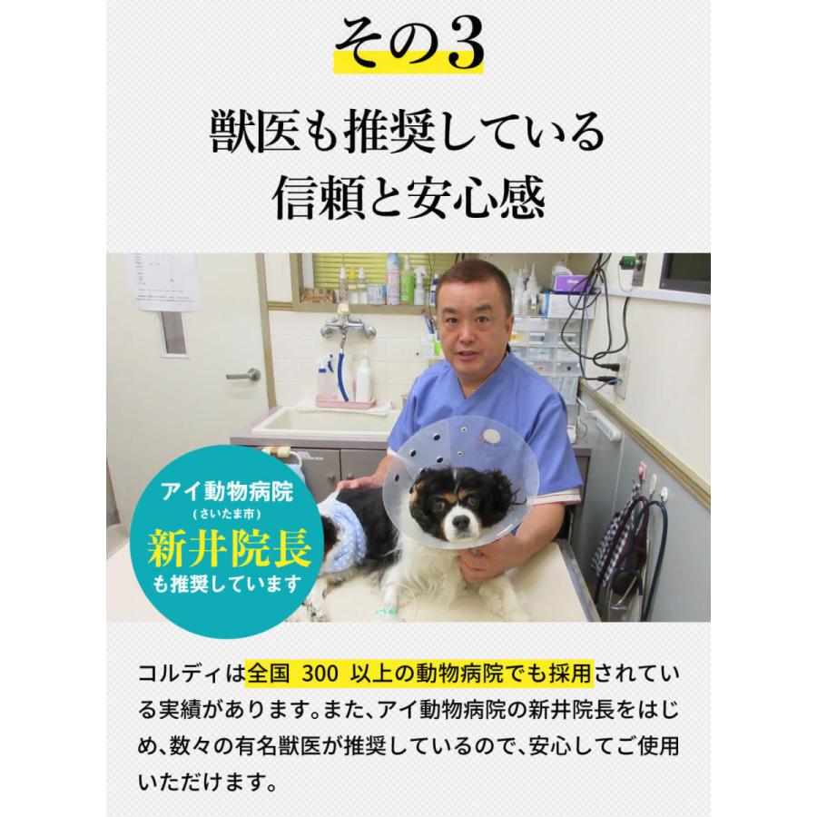 犬 サプリ いぬ サプリメント 犬用 ペット 免疫力 保つ アップ 健康維持 胃腸 老犬 シニア 冬虫夏草 菌活 お試し ＜コルディカプセル＞ メール便送料無料 爆買 | モノリス（ペット） | 09