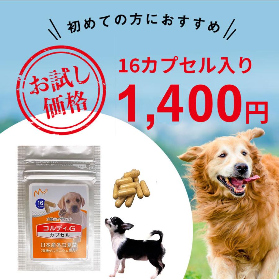 犬用 ペット サプリ 犬用サプリメント お試し 健康維持 免疫力 保つ アップ 冬虫夏草 菌活 コルディカプセル メール便送料無料 Cordycp Dog 日本産冬虫夏草 モノリスヤフー店 通販 Yahoo ショッピング