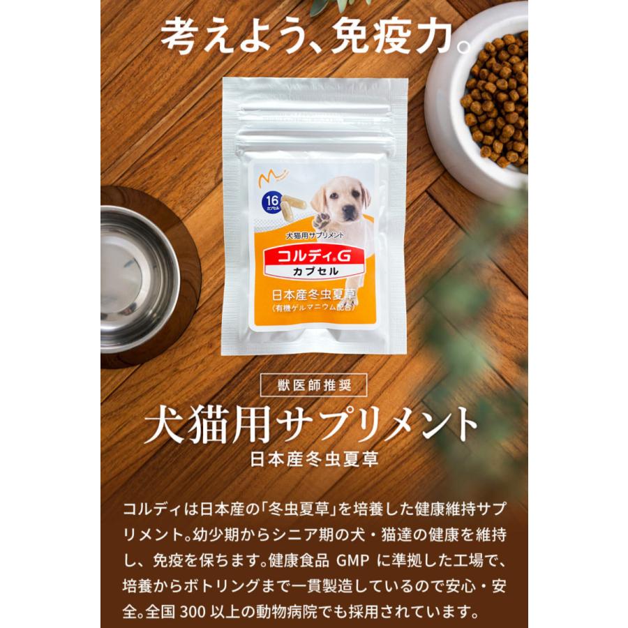 モノリス(ペット) 犬 サプリ いぬ サプリメント 犬用 ペット モノリス(ペット) 犬 サプリ いぬ サプリメント 犬用 ペット