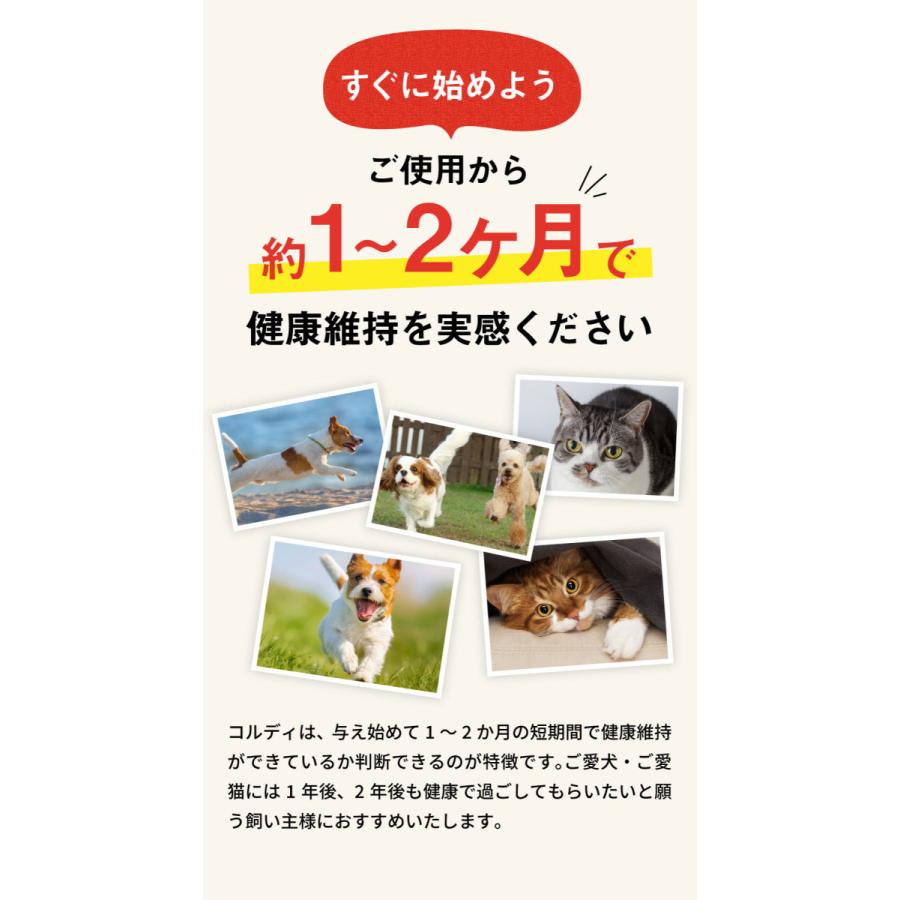 犬 猫 うさぎ ペット サプリ 犬用サプリメント 猫用 シニア 健康維持 免疫力 液体 エキス 国産 冬虫夏草 ＜コルディEX100ml＞｜monolith-net｜11