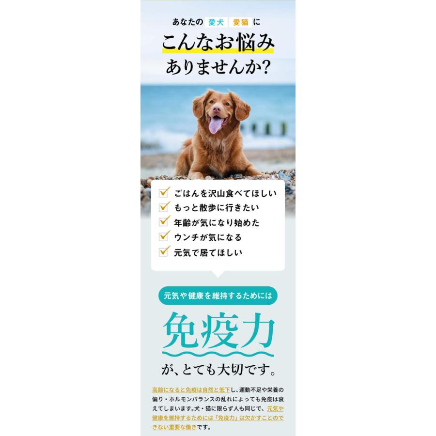 犬 猫 うさぎ ペット サプリ 犬用サプリメント 猫用 シニア 健康維持 免疫力 液体 エキス 国産 冬虫夏草 ＜コルディEX100ml＞｜monolith-net｜02