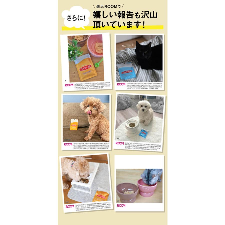 犬 猫 うさぎ ペット サプリ 犬用サプリメント 猫用 シニア 健康維持 免疫力 液体 エキス 国産 冬虫夏草 ＜コルディEX100ml＞｜monolith-net｜06