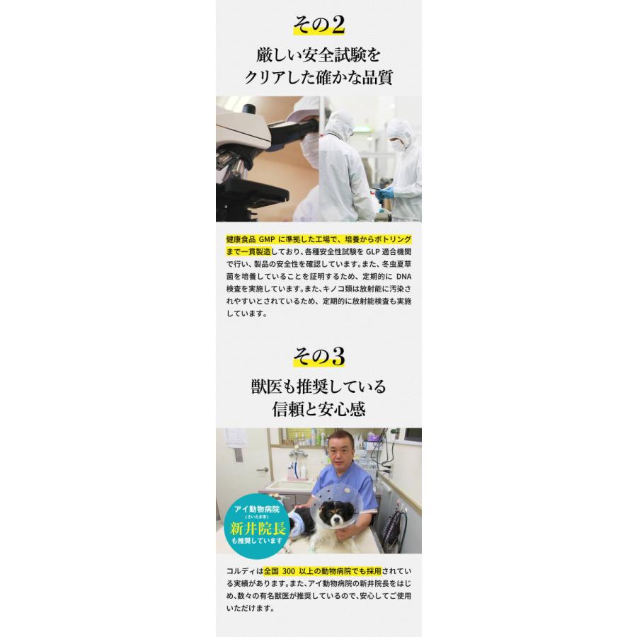 犬 猫 うさぎ ペット サプリ 犬用サプリメント 猫用 シニア 健康維持 免疫力 液体 エキス 国産 冬虫夏草 ＜コルディEX100ml＞ | モノリス（ペット） | 07