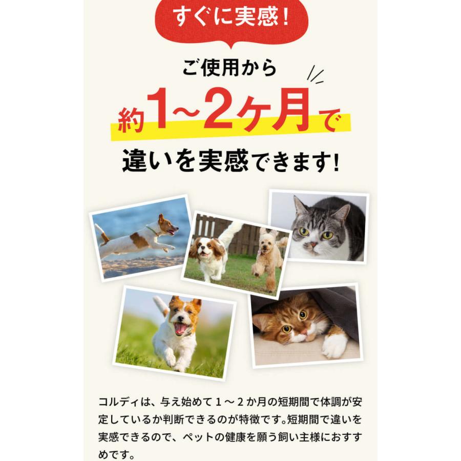 モノリス 犬用 猫用 ペット サプリメント コルディG 30g 3個セット