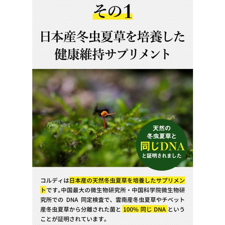 犬 猫 ペット サプリ 犬用サプリメント 猫用サプリメント コルディM 30g 5個セット 健康維持 免疫力 保つ アップ 冬虫夏草 うさぎ 送料無料 爆買 | モノリス（ペット） | 08