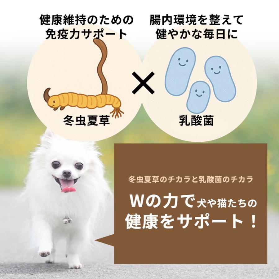 モノリス 犬 猫 ペット サプリ 犬用サプリメント 猫用 シニア 免疫力