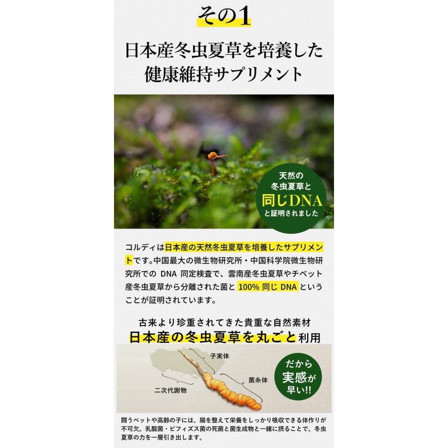コルディフローラ　100g コルディフローラ 100g 【公式通販】