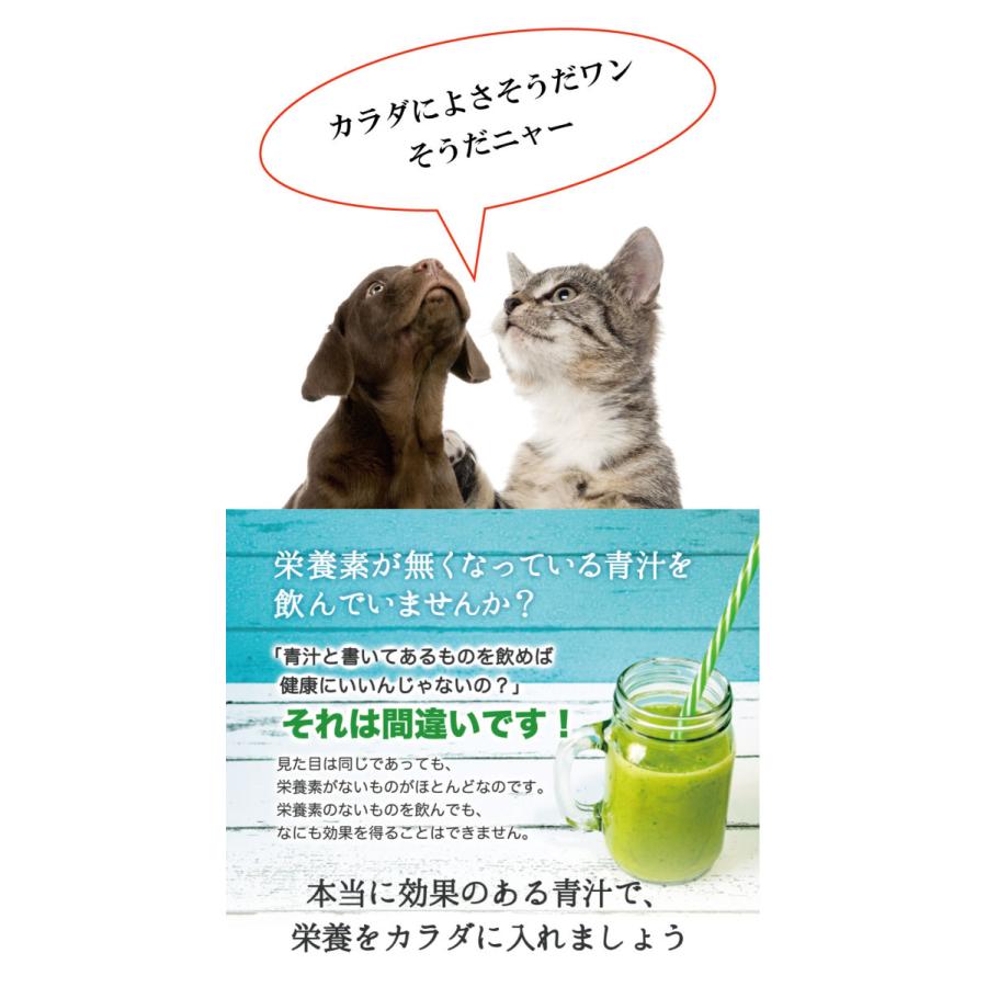 ボタニックグリーン生 微粉末 180g ビタミン 酵素の補給 Green180 日本産冬虫夏草 モノリスヤフー店 通販 Yahoo ショッピング