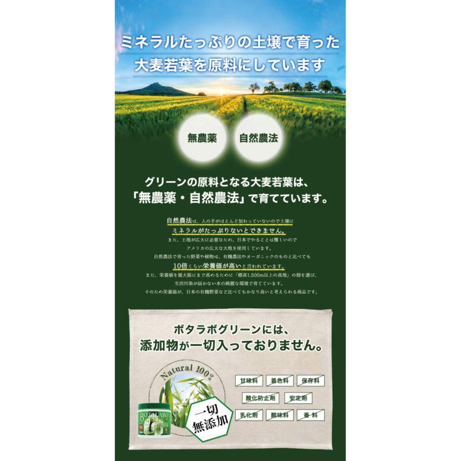 本日最大12倍 ボタニックグリーン生 微粉末 180g ビタミン 酵素の補給 Green180 日本産冬虫夏草 モノリスヤフー店 通販 Yahoo ショッピング