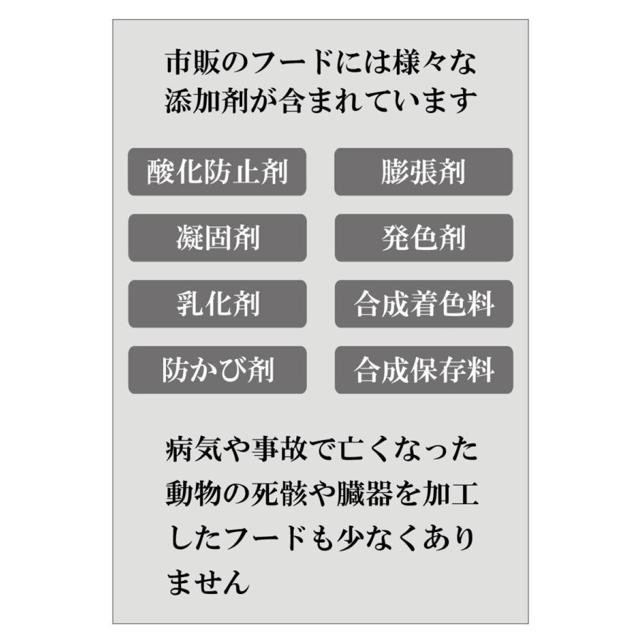 中華のおせち贈り物 犬 猫 野菜不足 粉末 パウダー ドライ ビタミン ミネラルの補給 酵素 サプリ サプリメント ビタミンb ビタミンc ボタニックグリーン生 微粉末 180g Discoversvg Com