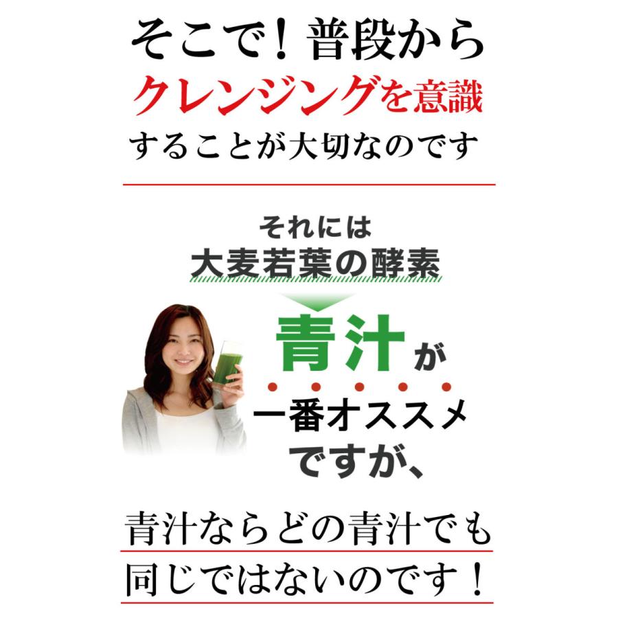 中華のおせち贈り物 犬 猫 野菜不足 粉末 パウダー ドライ ビタミン ミネラルの補給 酵素 サプリ サプリメント ビタミンb ビタミンc ボタニックグリーン生 微粉末 180g Discoversvg Com