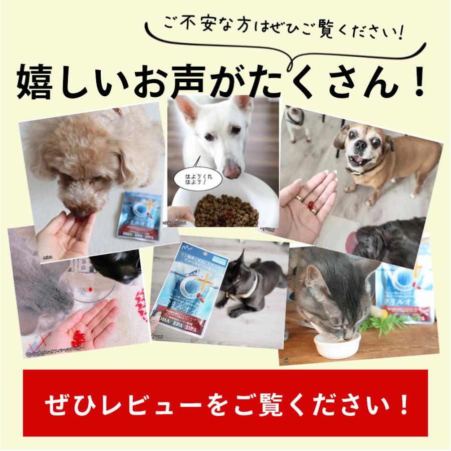 犬 関節 サプリ クリルオイル 30粒 オメガ3 EPA DHA リン脂質 アスタキサンチン シニア 日本製 爆買 | モノリス（ペット） | 10