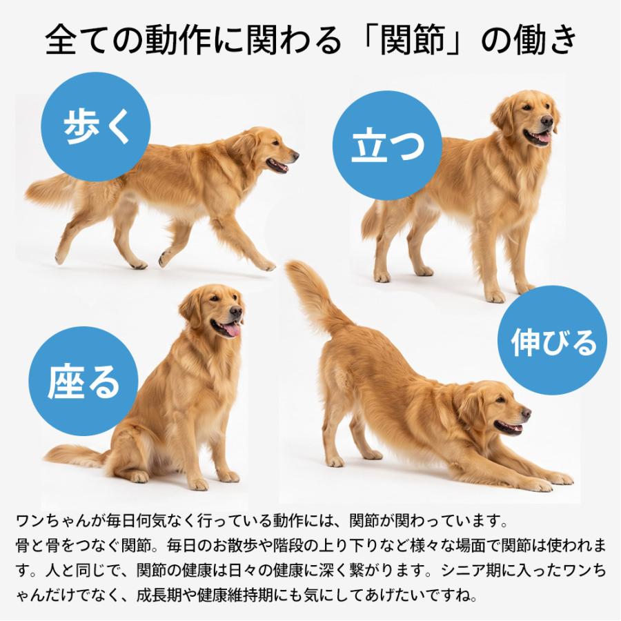 犬 関節 サプリ クリルオイル 30粒 オメガ3 EPA DHA リン脂質 アスタキサンチン シニア 日本製 爆買 | モノリス（ペット） | 02