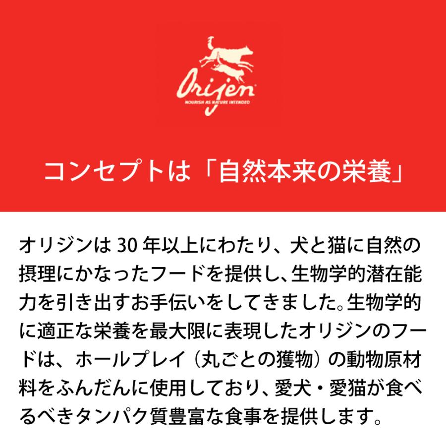 キャットフード ペットフード 無添加 オリジン 5.4kg 5.4キロ 正規品 猫用 猫 体重管理 肥満 高蛋白質 ビタミン ミネラル 酵素 必須アミノ酸 爆買 | ORIJEN（ペット用品） | 03