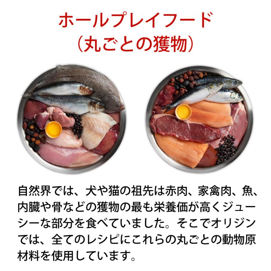 キャットフード ペットフード 無添加 オリジン 5.4kg 5.4キロ 正規品 猫用 猫 体重管理 肥満 高蛋白質 ビタミン ミネラル 酵素 必須アミノ酸 爆買 | ORIJEN（ペット用品） | 05