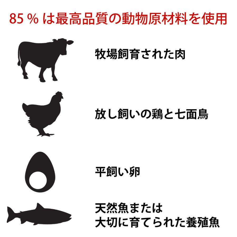 ドッグフード ペットフード 無添加 オリジン 6kg 6キロ 正規品 成犬用 犬 体重管理 肥満 高蛋白質 ビタミン ミネラル 酵素 必須アミノ酸 爆買 | ORIJEN（ペット用品） | 06