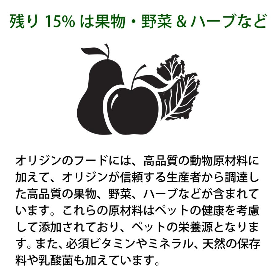 ドッグフード ペットフード 無添加 オリジン 6kg 6キロ 正規品 成犬用 犬 体重管理 肥満 高蛋白質 ビタミン ミネラル 酵素 必須アミノ酸 爆買 | ORIJEN（ペット用品） | 07