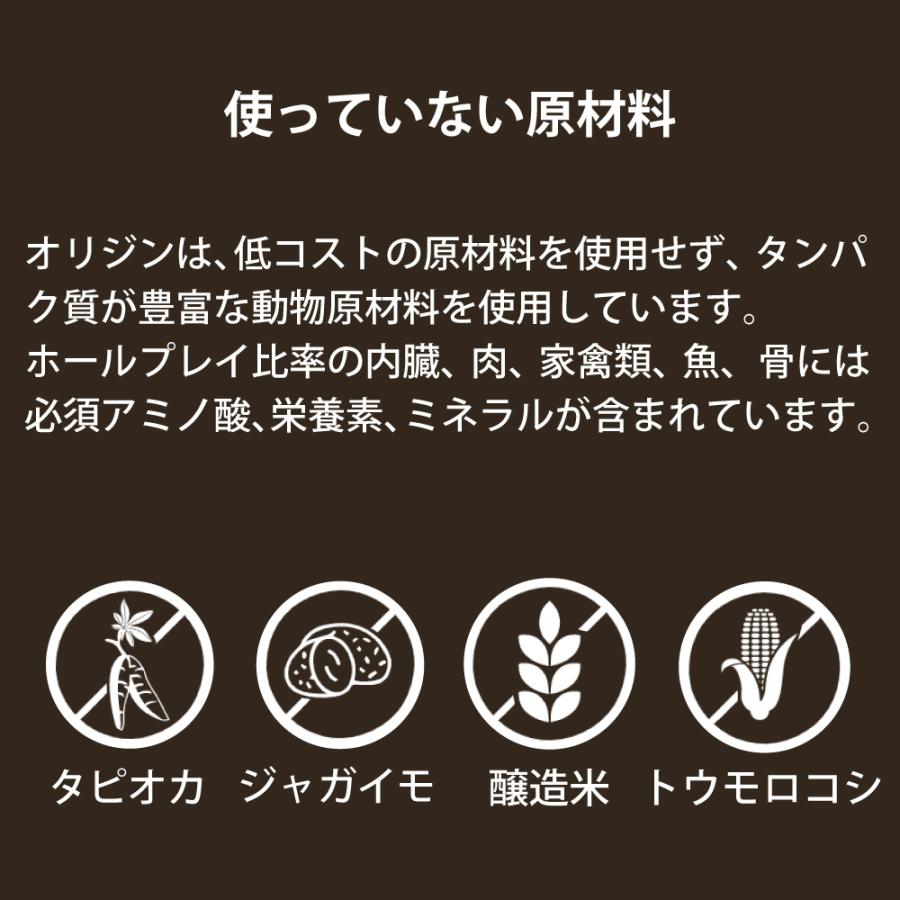 ドッグフード ペットフード 無添加 オリジン 6kg 6キロ 正規品 成犬用 犬 体重管理 肥満 高蛋白質 ビタミン ミネラル 酵素 必須アミノ酸 爆買 | ORIJEN（ペット用品） | 08