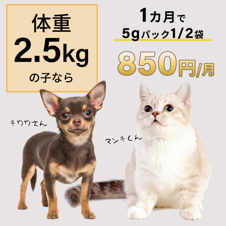 犬 猫 ペット サプリメント プラセンタ 12000 5g 肝臓 皮膚 被毛 毛ヅヤ 毛並み 毛艶 豚プラセンタ 爆買 | モノリス（ペット） | 13