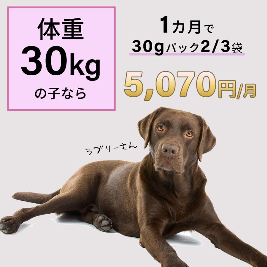 モノリス(ペット) サプリ サプリメント 犬 猫 ペット モノリス(ペット) サプリ サプリメント 犬 猫 ペット