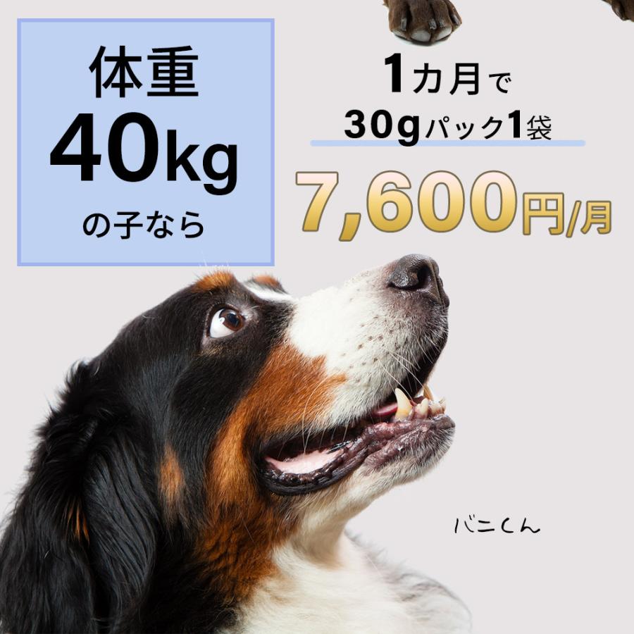 モノリス（ペット） サプリ サプリメント 犬 猫 ペット