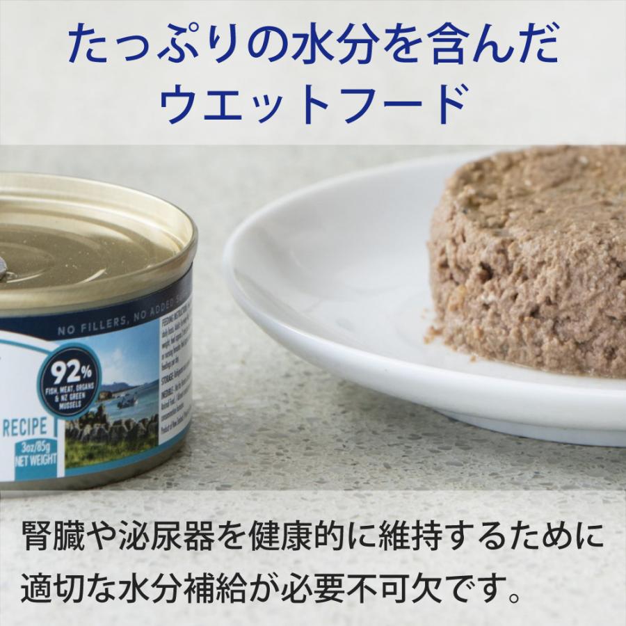 キャットフード ウェット ウエット 無添加 ziwi PEAK ジウィピーク キャット缶 カハワイフィッシュ 85g 猫 猫用 幼猫 子猫 成猫 シニア 老描 | ZIWI | 06