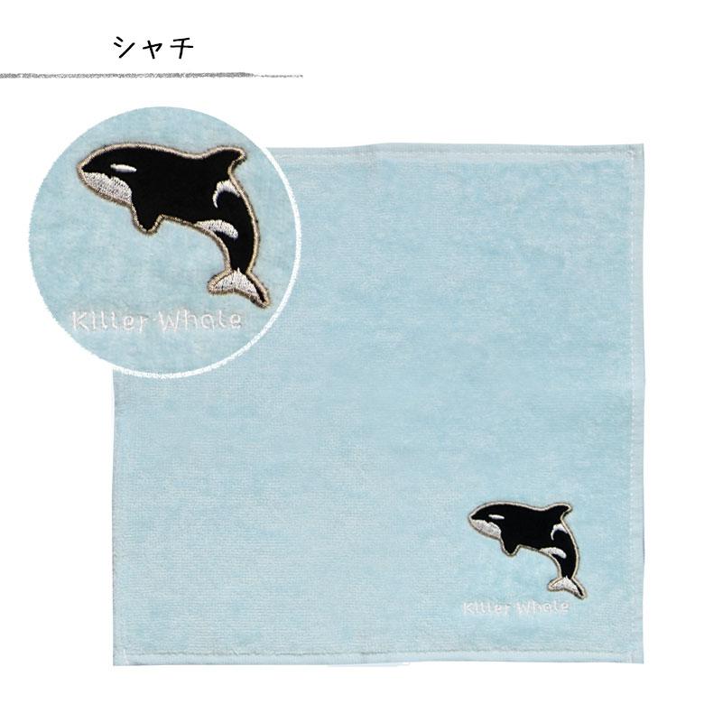 タオルハンカチ アクアチック ワンポイント 刺繍 ハンドタオル