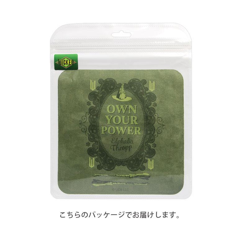 WICKED モバイルクリーナー クロス 画面拭き スマホ メガネ拭き ウィキッド 液晶 指紋 wkd-17 |  | 05