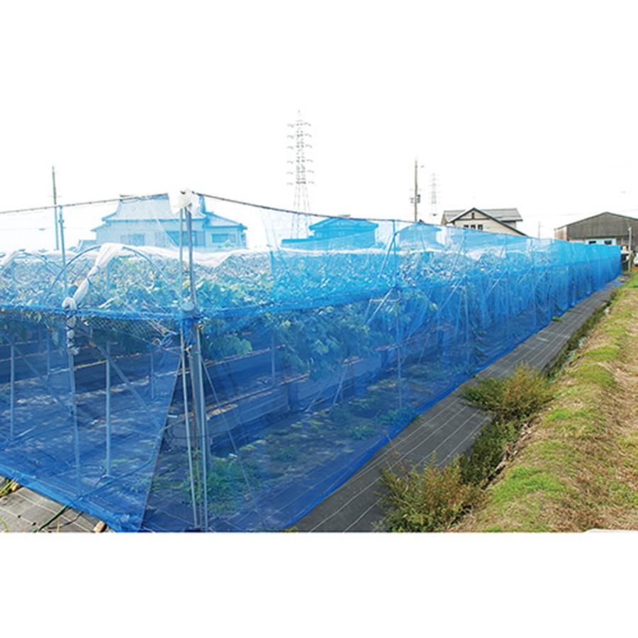 セフティー3 防風ネット 目合4mm 2MX5M 果樹 園芸植物 強風