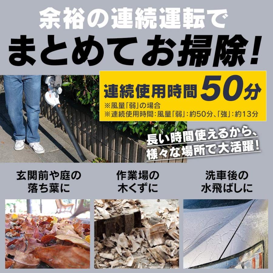 アイリスオーヤマ - 【アイリスオーヤマ】充電式ブロワ　JB181【箱、説明書アリ】 アイリスオーヤマ 充電式ブロワ 18V バッテリー・充電器付属