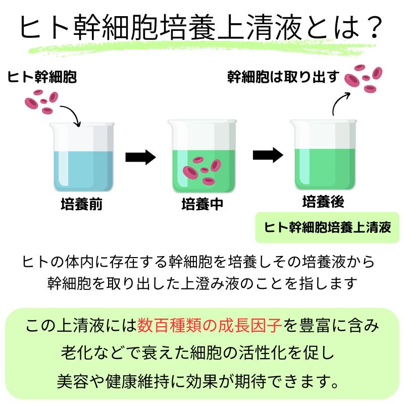 ヒト幹細胞 美容液 クリーム 高濃度 培養液 化粧水 30g セラミド