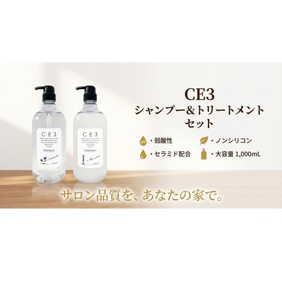 CE3 シャンプー トリートメント セット 1000mL 弱酸性 サロン専売 ノン