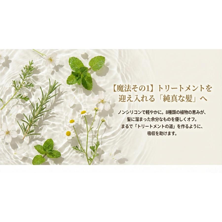 CE3 シャンプー トリートメント セット 1000mL 弱酸性 サロン専売 ノン