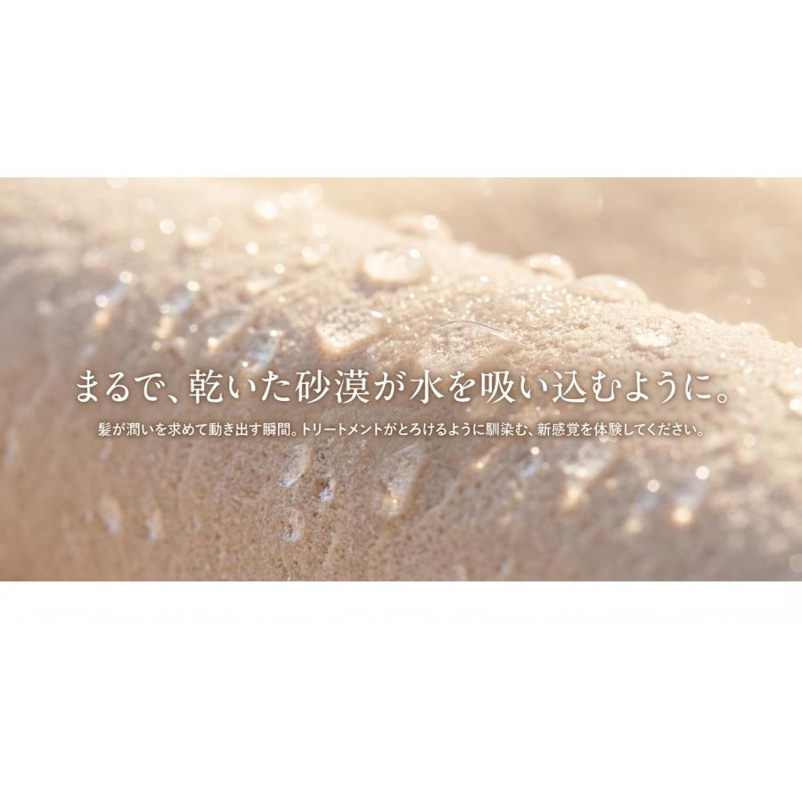 CE3 シャンプー トリートメント セット 1000mL 弱酸性 サロン専売 ノン