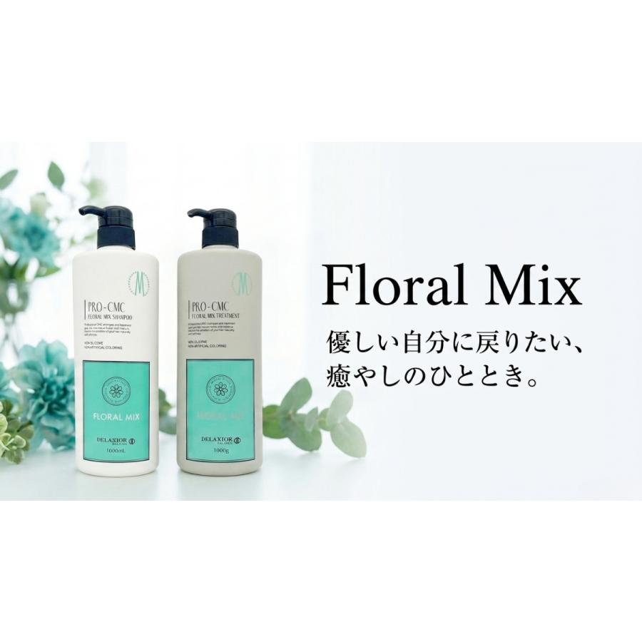 DELAXIOR（デラクシオ） プロ CMC セット 1000mL シャンプー