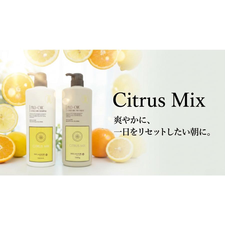 DELAXIOR（デラクシオ） プロ CMC セット 1000mL シャンプー