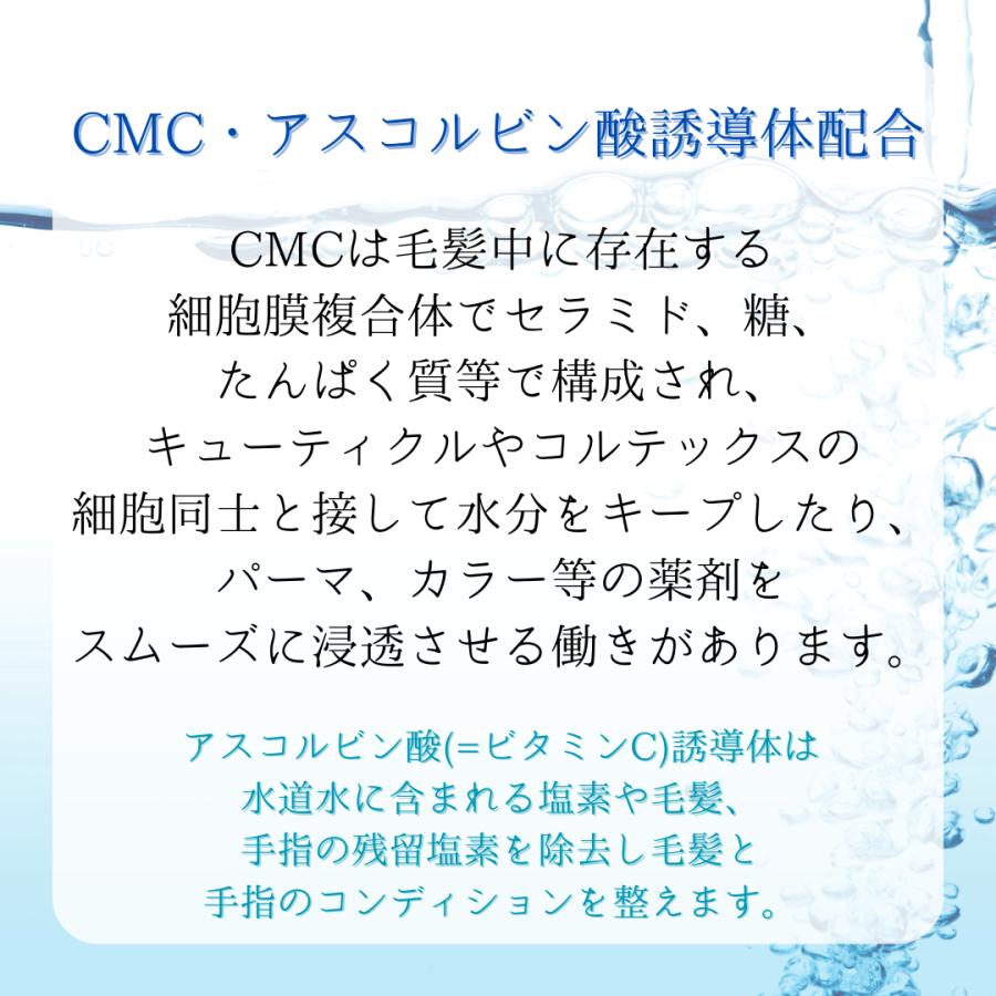 DELAXIOR（デラクシオ） プロ CMC セット 1000mL シャンプー